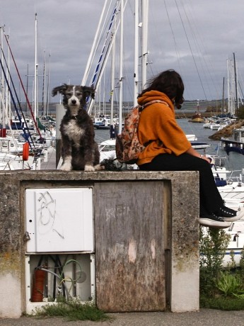 C8EE68D8-ACE7-437E-B645-EF45D27EB94A