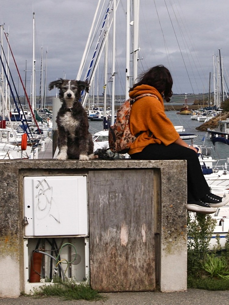 C8EE68D8-ACE7-437E-B645-EF45D27EB94A